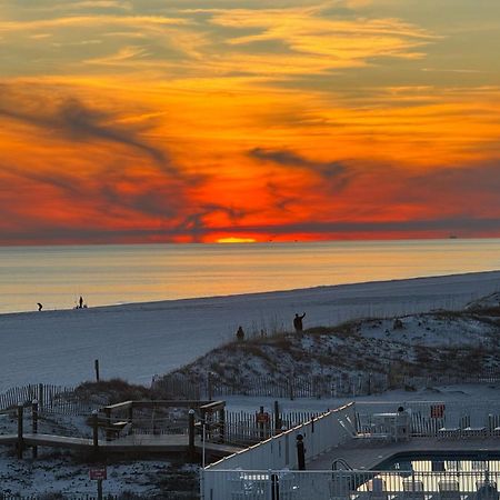 Sunchase #203 Daire Gulf Shores Dış mekan fotoğraf