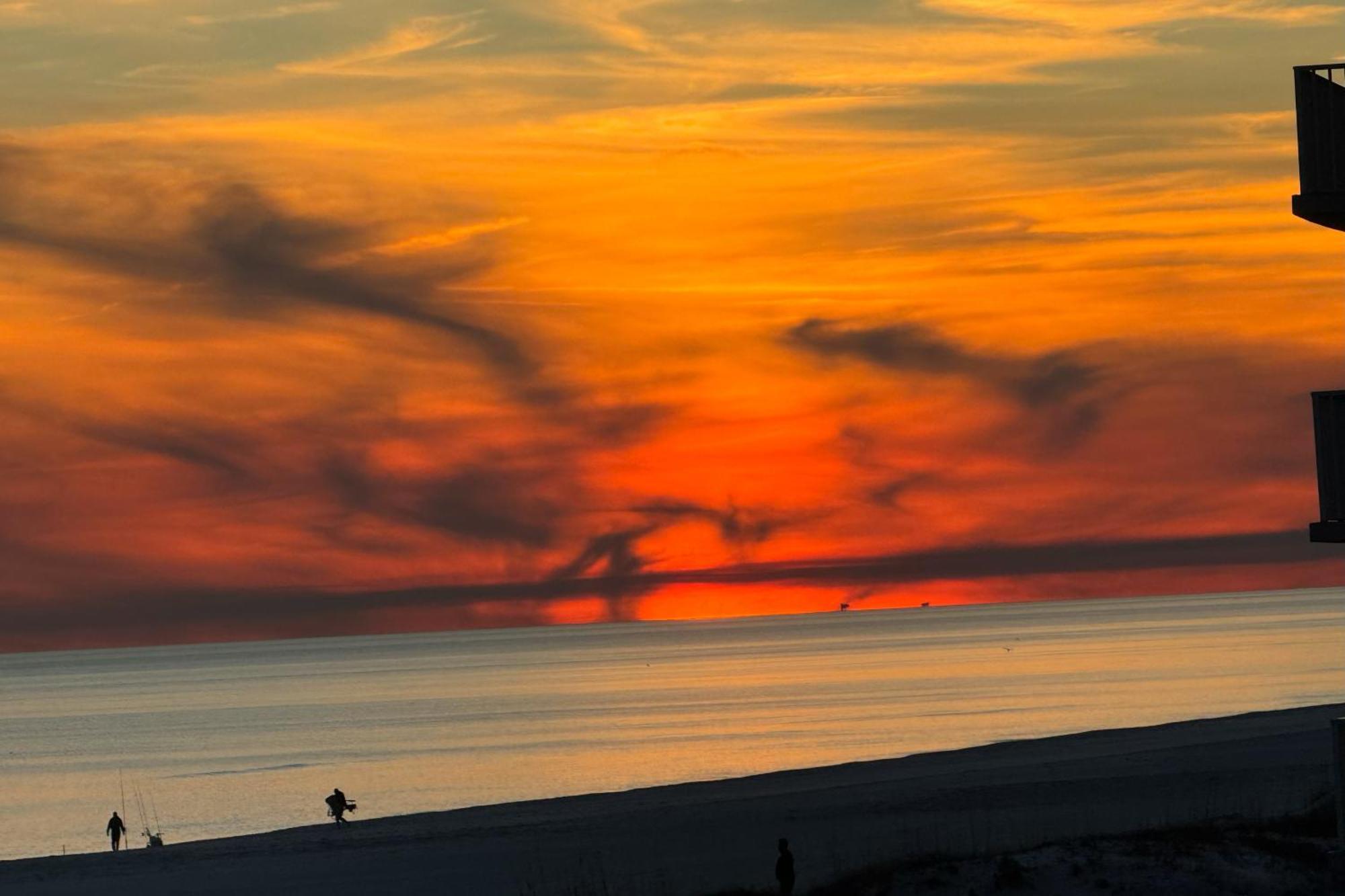 Sunchase #203 Daire Gulf Shores Dış mekan fotoğraf