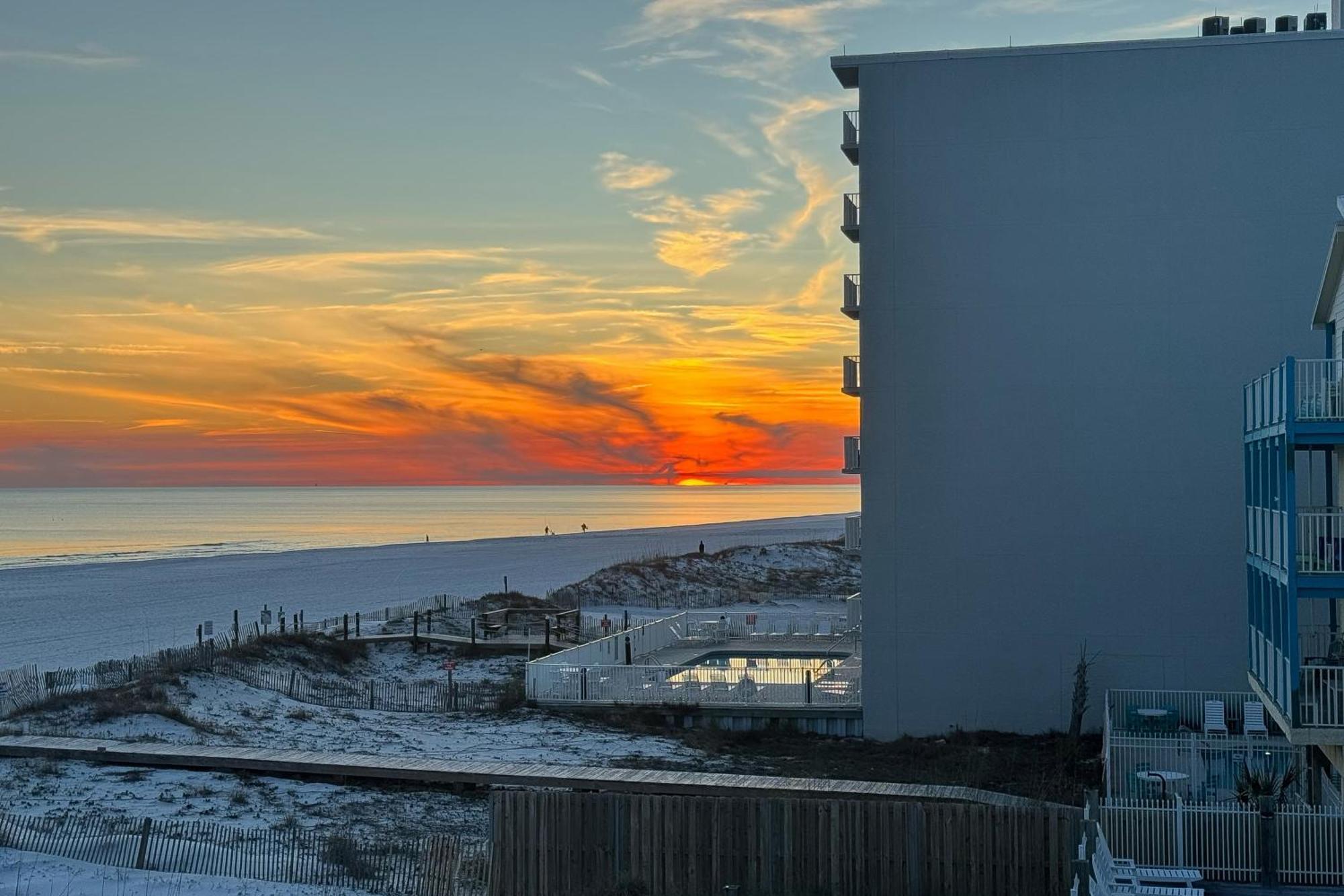 Sunchase #203 Daire Gulf Shores Dış mekan fotoğraf