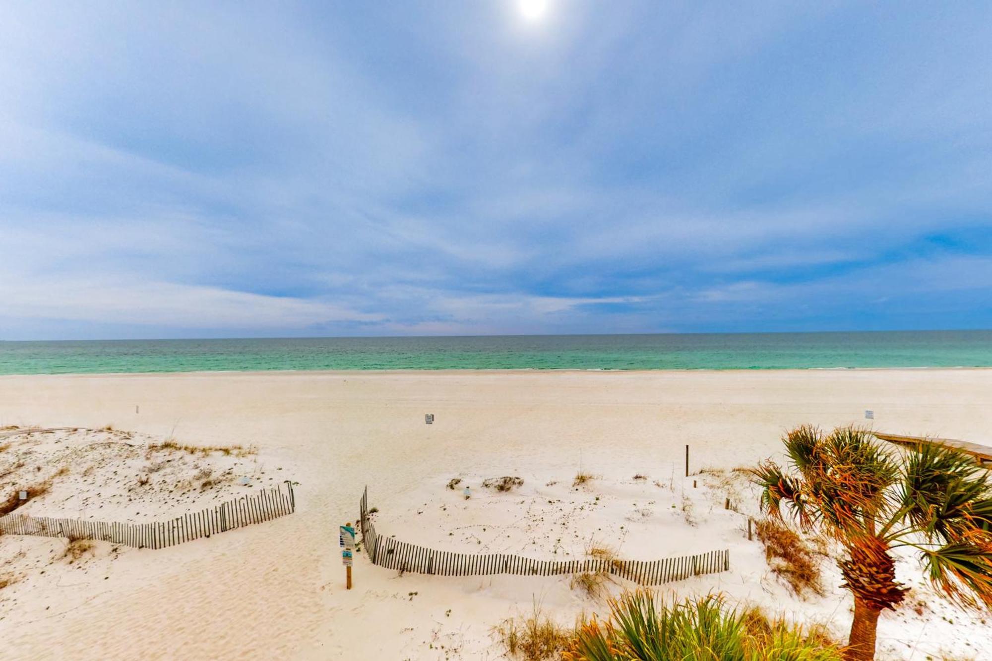 Sunchase #203 Daire Gulf Shores Dış mekan fotoğraf